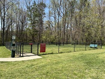 Dog park